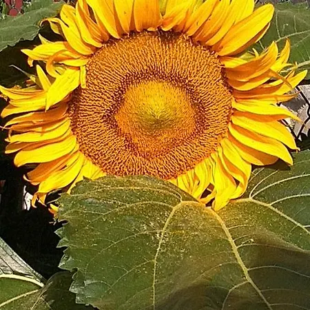 Casa Pradareire Semesterbostad *